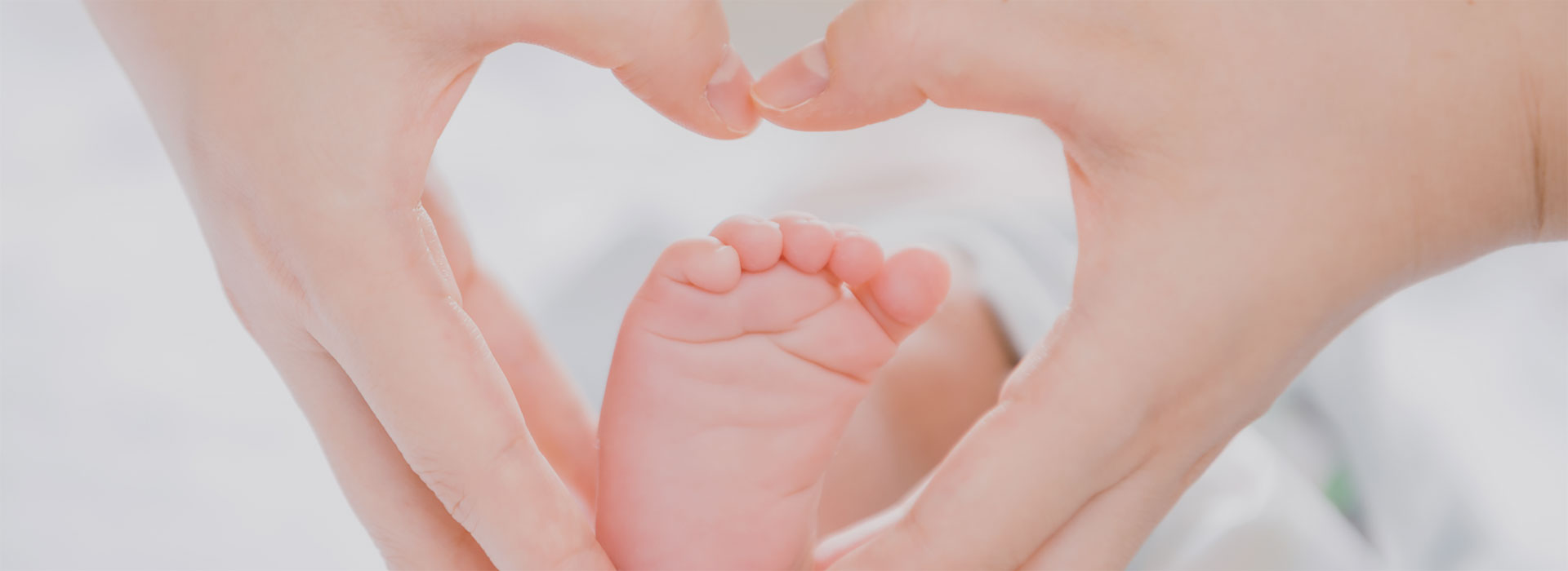 太平洋康泰科学仪器-支持与服务